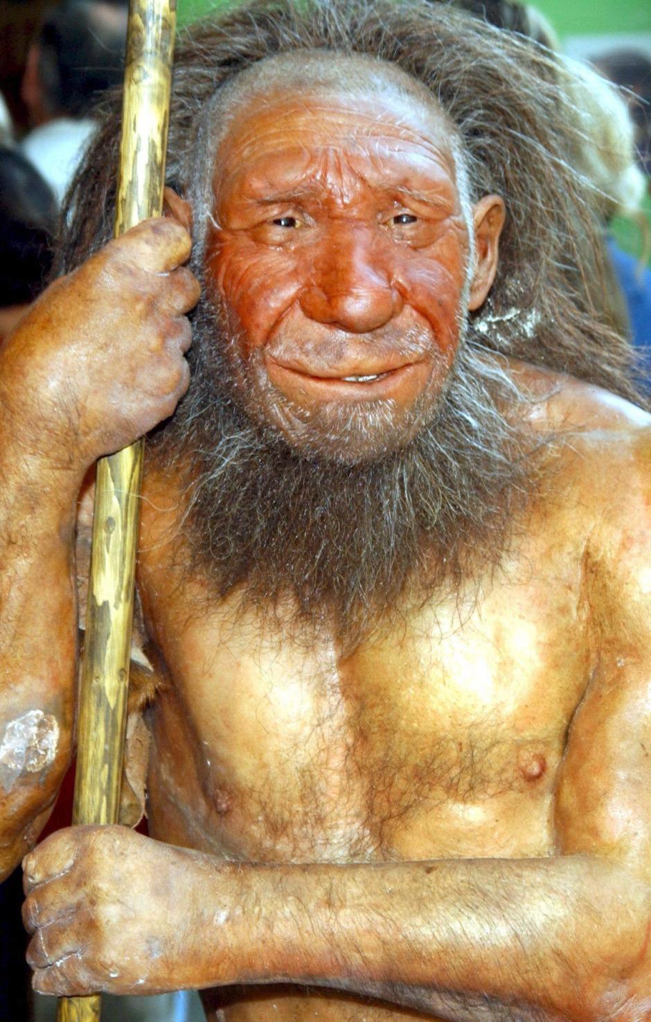 ADN De Los Neandertales Presente En Humanos Modernos