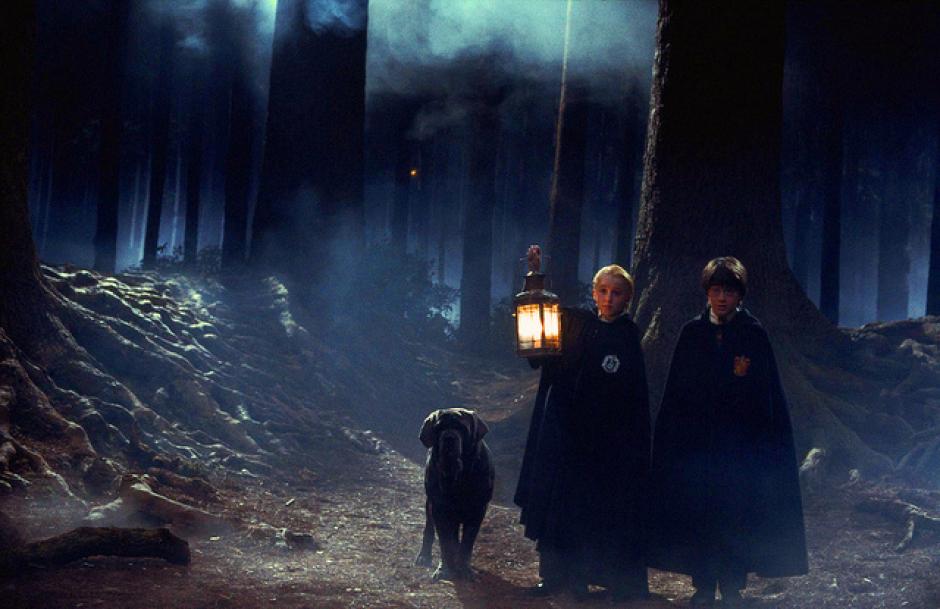 Los Muggles Podrán Visitar El "Bosque Prohibido" De Harry Potter | Soy502