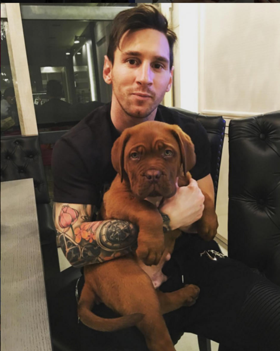 Los Perros De Messi Se Hacen Famosos En Las Redes Sociales