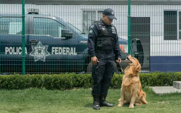 Desde hace al menos siete años, la Policía Federal sabe que los criminales le han puesto precio a la cabeza de sus perros. (Foto. Daniel Ojeda/Vice News)