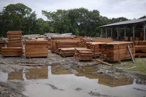 Tablas de madera ya procesada de los productos del bosque. (Foto: Johan Ordóñez/AFP)