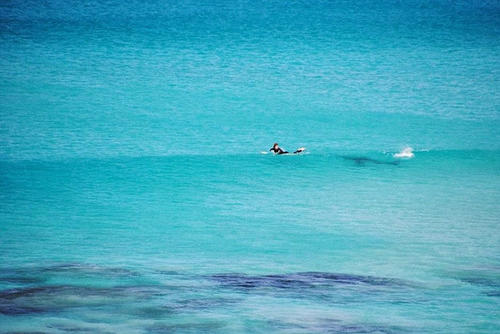 El surfista declaró más tarde que no se había percatado de lo cerca que se encontraba el tiburón (Foto: Frits De Bruyn/Daly Mail)