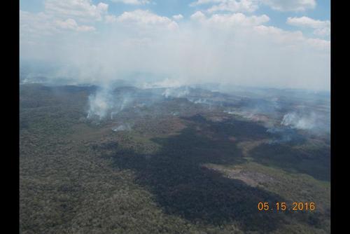 La mayoría de los incendios han sido provocados por el hombre. (Foto: Cortesía de Matilde Ivic)