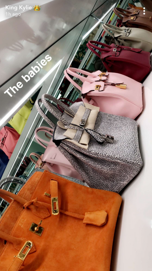 Estos bolsos cuestan una fortuna. (Foto: Snapchat) 