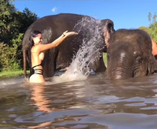 Lourdes Figueroa se acercó a los imponentes elefantes. (Foto: Instagram) 