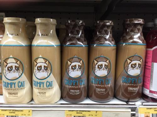 Grumpy Cat ganó una demanda a una empresa de café que hizo el Grumppuccino. (Foto: Dina L/Twitter)