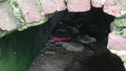 Un juguete rosado se observa dentro de la tumba, según los trabajadores del lugar, estos son utilizados para en brujería. (Foto: Jessica Gramajo/Soy502)