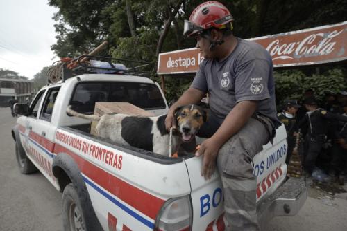 El perro quedará a cargo de la Asociación Amigos de los Animales para que sea dado en adopción. (Foto: Wilder López/Soy502)