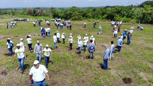 Colaboradores de Asazgua participaron en la siembra. (Foto: Victor Xiloj/Soy502)