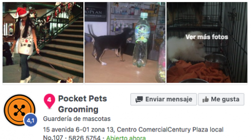 Pocket Pets Grooming. (Foto: Facebook)