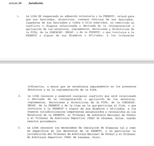 Artículo 24 del borrador de implementación de estatutos para la Liga Primera División. (Foto: captura de pantalla)