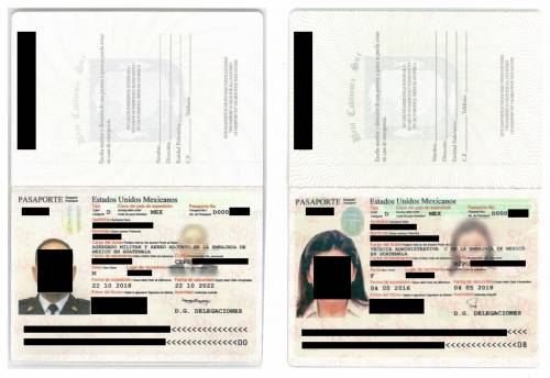 Estos fueron algunos de los pasaportes obtenidos. (Foto: Techcrunch)