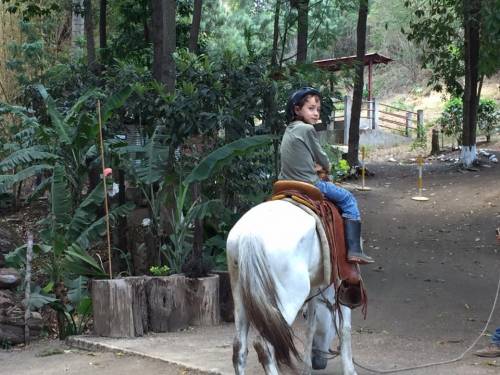 Los paseos a caballo atraen a los niños y les permite conocer cómo es el trabajo en una finca. (Foto: Hacienda San Antonio Verapaz)