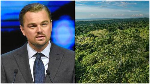 Leonardo DiCaprio quiere salvar la selva petenera. (Foto: miningworks.gt) 