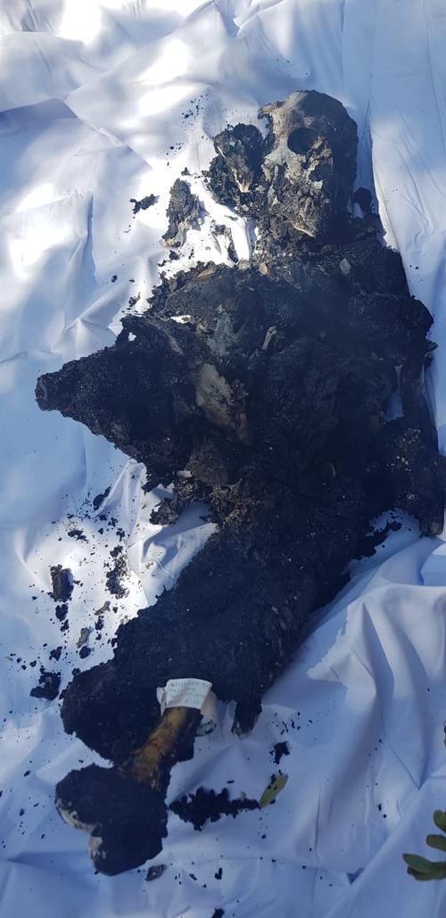 Vista de los restos humanos localizados en Petén en la avioneta incendiada. (Foto: Ministerio de la Defensa) 