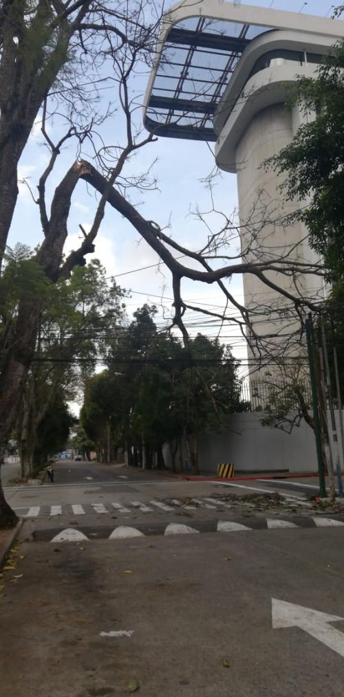 En la zona 9 se reportan cables dañados por los fuertes vientos. (Foto: captura pantalla) 