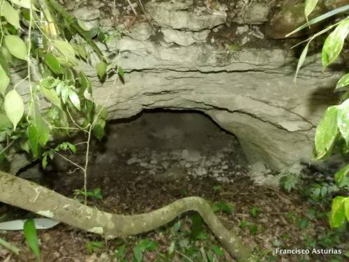 Esta cueva podría ser la guarida de los jaguares. (Foto: Francisco Asturias)