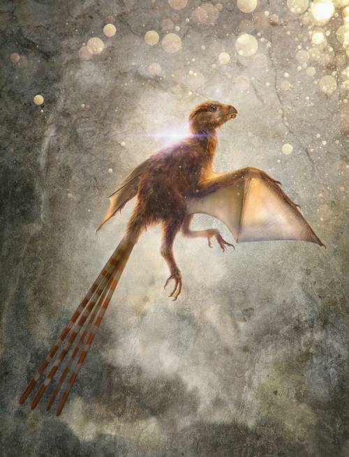 Esta ilustración muestra cómo se vería en realidad esta nueva especie de dinosaurio descubierta. (Foto: Chung-Tat Cheung /National Geographic)