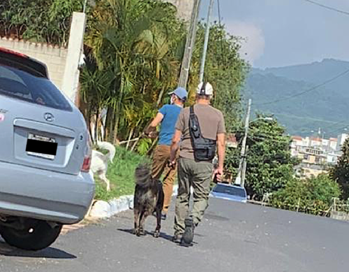Según Ana María, en la fotografía se observa como una de las supuestas víctimas lleva en la mano derecha un Taser mientras pasean a su perros. (Foto: Cortesía)