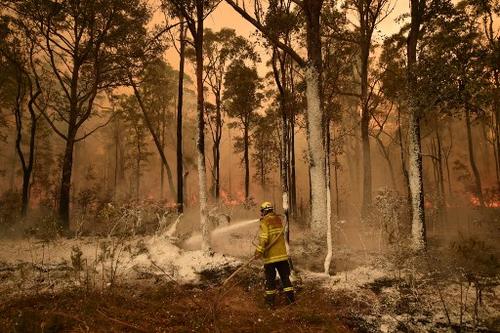 Al menos 18 personas han fallecido durante la época de incendios en Australia. (Foto: AFP) 