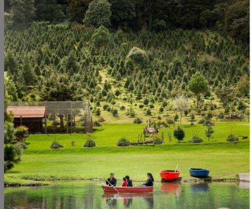 Relájate entre los árboles (Foto: Instagram: Finca El Espinero).