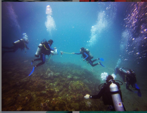 Descubre la vida marina en Punta de Manabique. (Foto: Instagram).