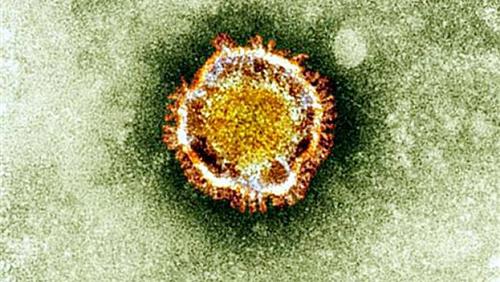 Así luce el coronavirus. (Foto: AFP) 