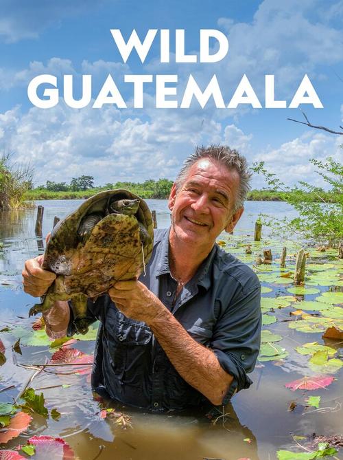 Wild Guatemala. (Foto: Oficial)