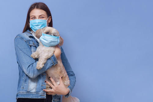 Lo mejor es que la persona que se encuentra enferma no tenga contacto con su mascota hasta no estar totalmente recuperado. (Foto: Freepik)