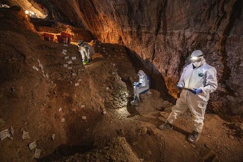 Los científicos comparan notas sobre la estratigrafía de la cueva Chiquihuite en preparación para tomar muestras de ADN de las plantas y de los animales, de los sedimentos. (Foto: Devlin Gandy/NAT GEO)