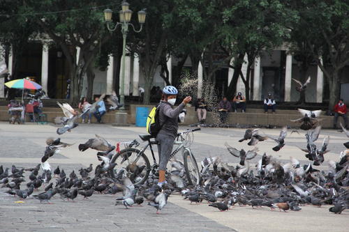 Varias personas se han acercado y llevan alimento a las aves que se aglomeran en la Plaza de la Constitución. (Foto: Fredy Hernández/Soy502)