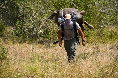 Un hombre carga a la espalda a Diego hasta llevarlo a su antiguo hogar en la isla. (Foto: AFP)