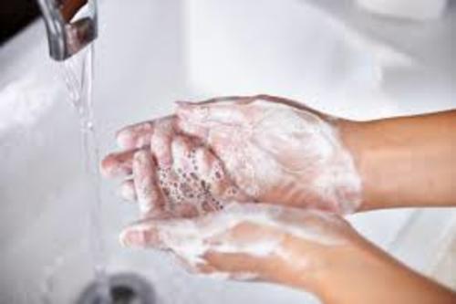 Explica la investigadora que "al lavarnos la manos el virus queda desactivado porque es incapaz de penetrar en las células e infectarlas". (Foto: Informativo del Guaico).