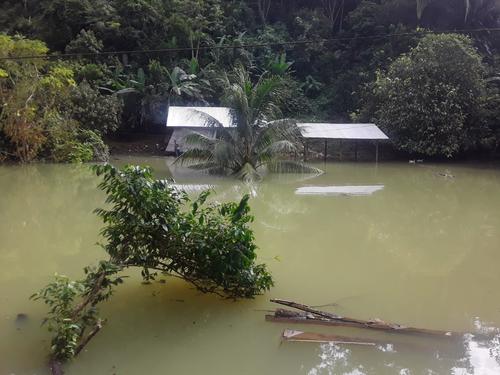 La Conred contabiliza 45 comunidades bajo el agua. (Foto: Fidencio Lima / Alcalde de Chisec)