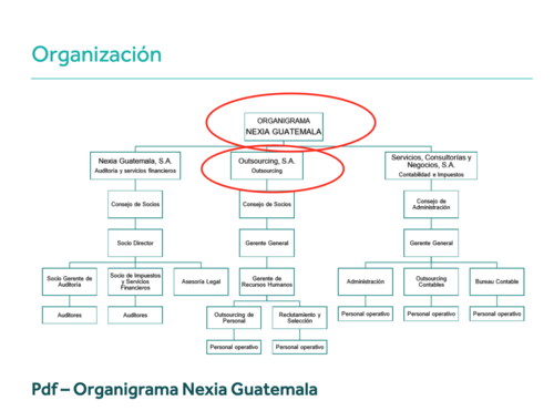 Una empresa de nombre Outsourcing S.A. aparece en el organigrama de Nexia.
