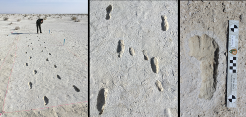 La evidencia ha sorprendido a los arqueólogos que siguen investigando más sobre las huellas. 