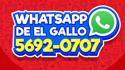 WhatsApp, aplicación, comunicación, venta, compra, servicio al cliente, El Gallo más Gallo, Tigo Money, financiamiento, Guatemala, Soy502