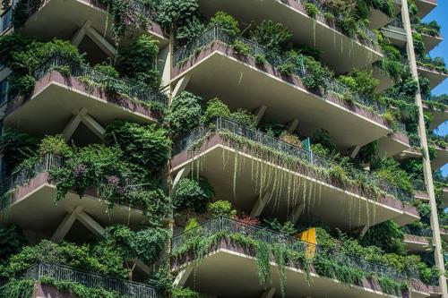 Los balcones están poblados de vegetación en cada uno de los niveles de estos apartamentos. (Foto: AFP)