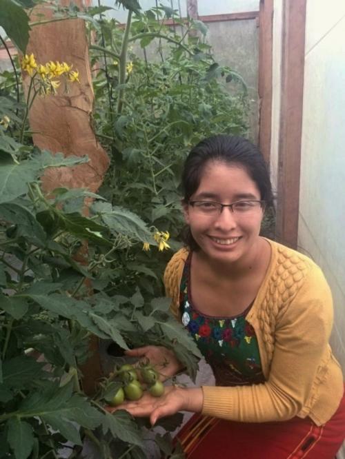 María muestra los tomates de su pequeño invernadero. (Foto: FAO)