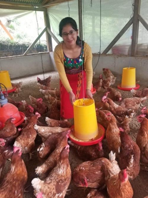María alimenta a las gallinas que le han permitido incrementar sus ingresos familiares. (Foto: FAO)