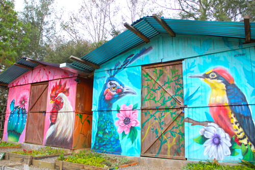 Las cabañas están decoradas con la flora y fauna de la localidad. (Foto: Fredy Hernández/Soy502)