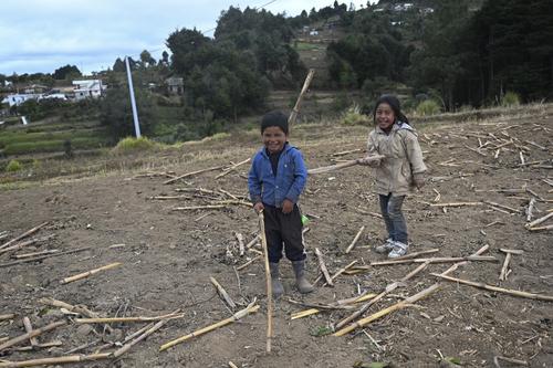 La aldea Tuilelén, donde vivía Rivaldo Danilo vive en pobreza y las familias se sostienen de los cultivos. (Foto: Johan Ordóñez/AFP)