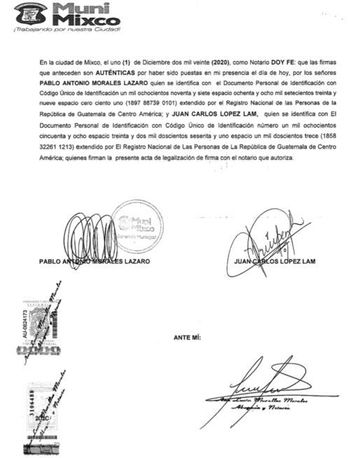 Irma Elizabeth Palencia, Neto Bran, Mixco, tribunal supremo electoral, Juan Carlos López Lam