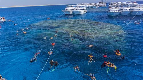 El buceo se ha convertido en un peligro para los corales en Egipto. (Foto: AFP)