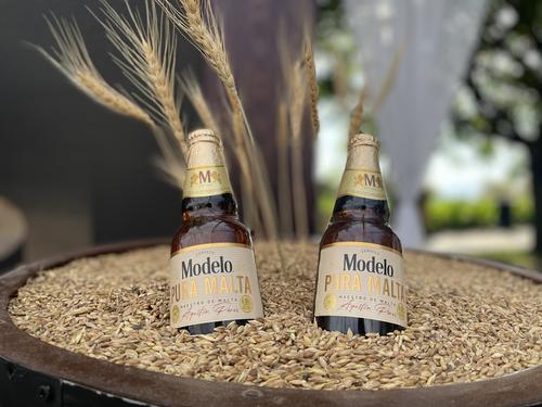Presentan Modelo Pura Malta, maestro cervecero, La Maltería Modelo, Guatemala, Soy502