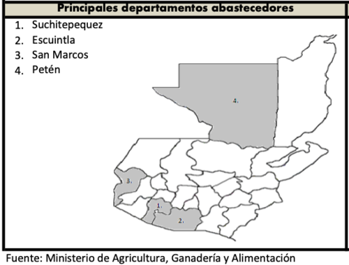 Suchitepéquez, Escuintla, San Marcos y Petén son los departamentos donde mejor se cultiva el aguacate Booth. (Gráfica: MAGA)