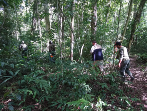 Patrulleros internándose en la selva. (Foto: InSight Crime)