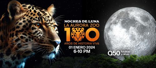 Zoológico La Aurora, Noches de Luna, aniversario