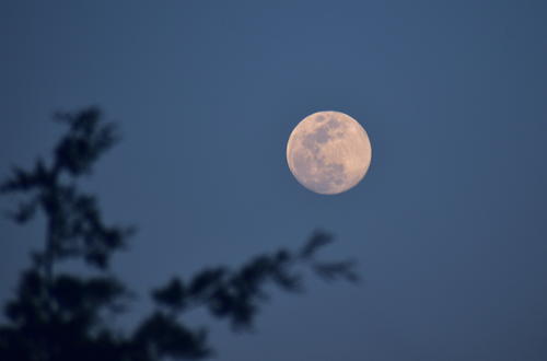 La Luna se puede observar desde las últimas horas de la tarde. (Foto: Fredy Hernández/Soy502)
