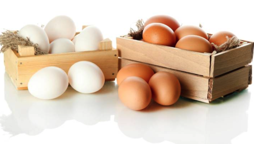 Cada huevo posee una numeración. (Foto: as)
